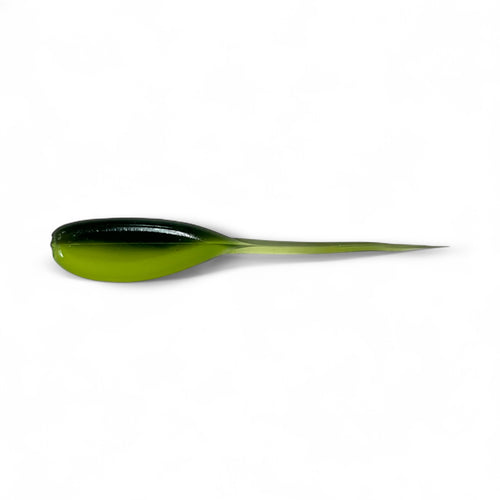 Tadpole Minnow