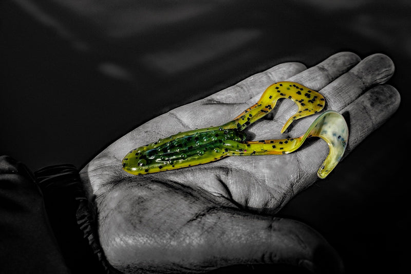Load image into Gallery viewer, Case Buzzin Frog
