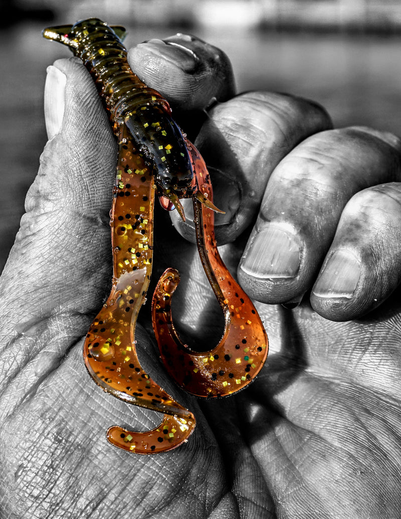 Load image into Gallery viewer, Case Curly Craw
