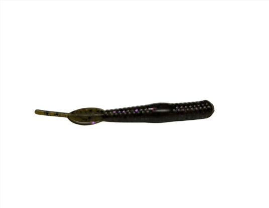 Case Baby Pintail worm