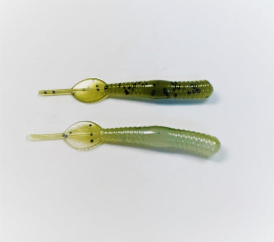 Case Baby Pintail worm
