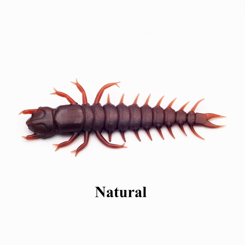 Load image into Gallery viewer, Case Large Hellgrammite
