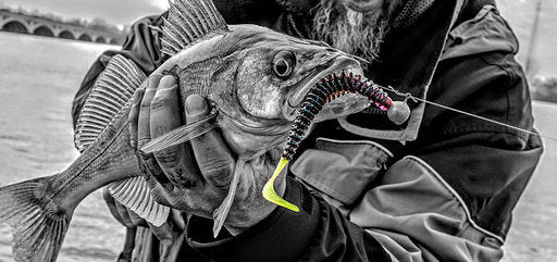 Load image into Gallery viewer, Zipper 5" Original Worm
